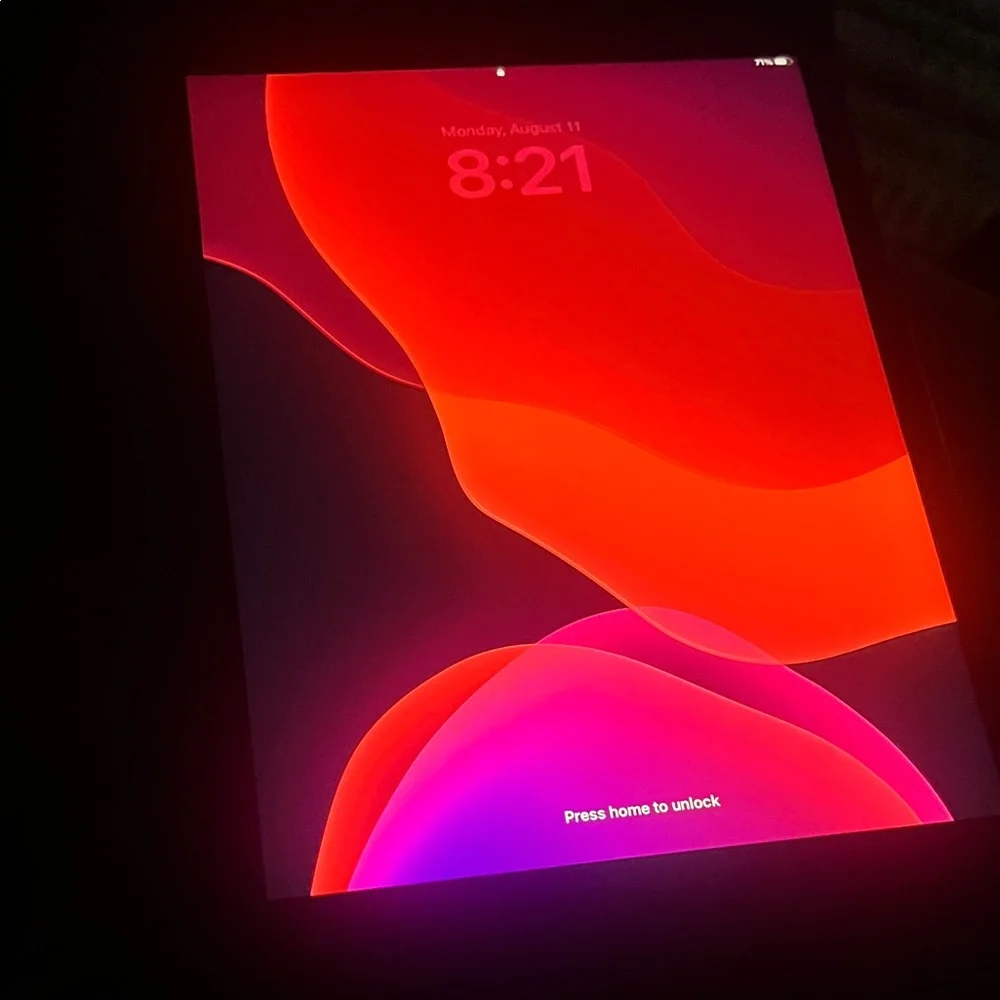 Apple iPad - Sleek Gray
